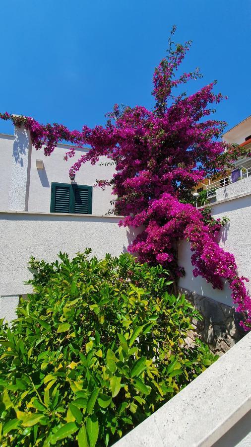 Apartman Filis Hvar Town Esterno foto