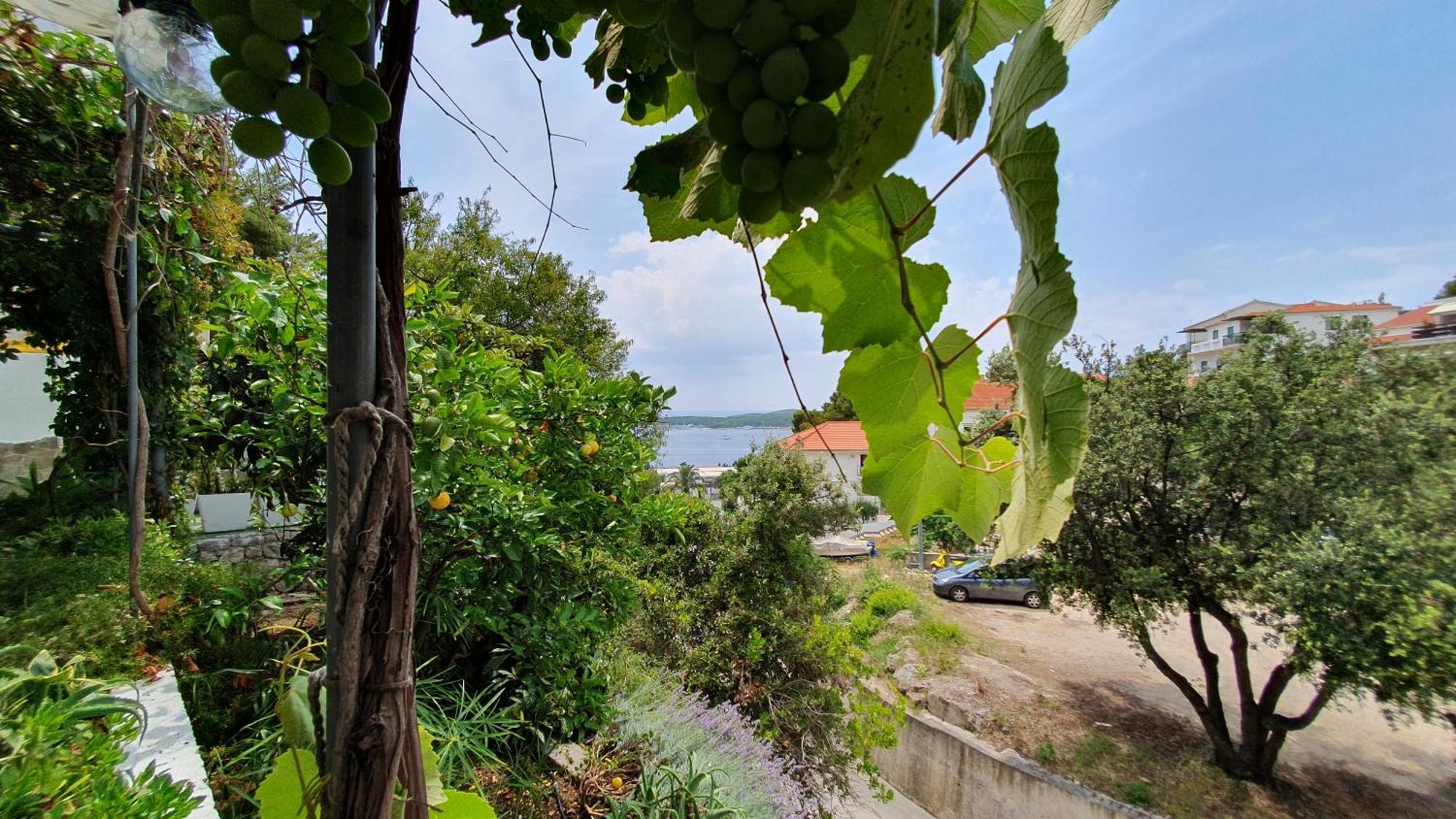 Apartman Filis Hvar Town Esterno foto